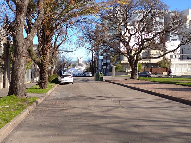 perspectiva de calle y edificio