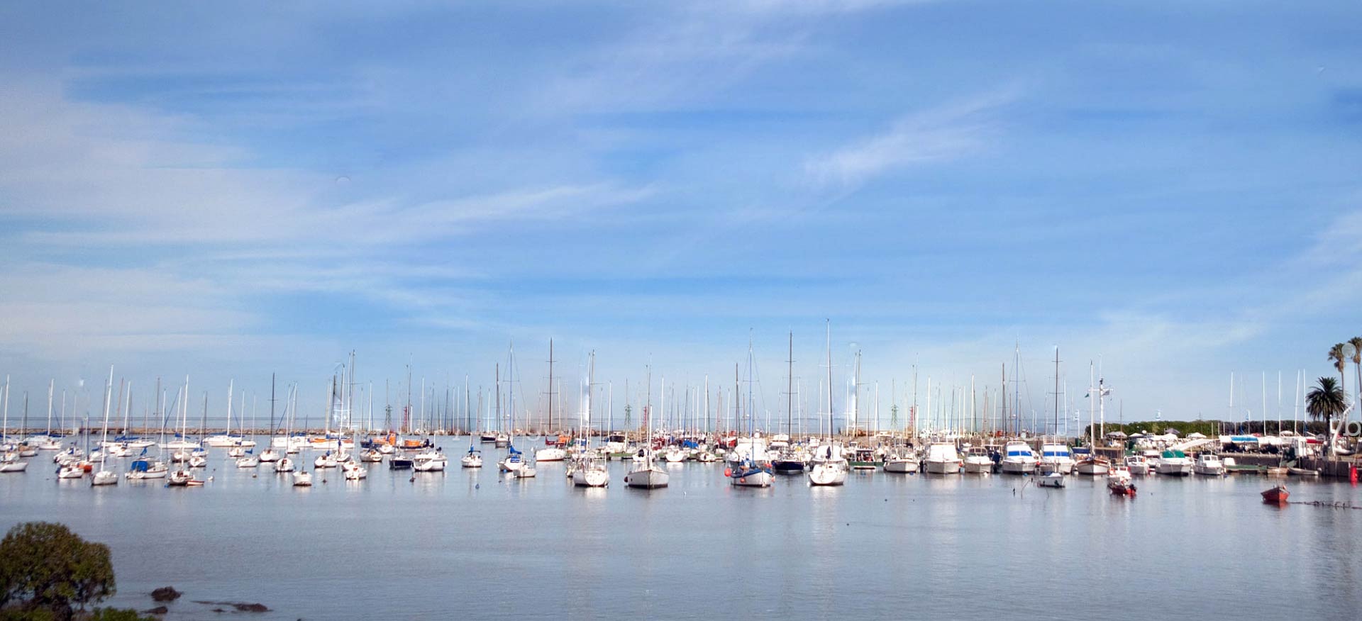 vista-del-puerto-del-buceo