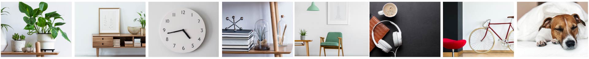 collage de imagenes del lugar